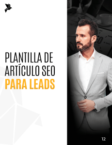 Plantilla de articulo SEO